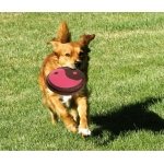 Игрушка Frisbee